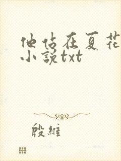 他站在夏花绚烂小说txt