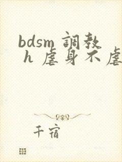 bdsm 调教 h 虐身不虐心 小甜文1v1