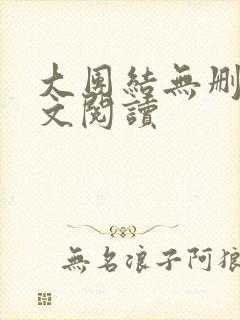 大团结无删减全文阅读