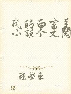 我的白富美老婆小说全文阅读封面