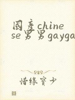 国产chinese男男gaygay 网站