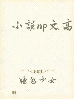 小说np文高h