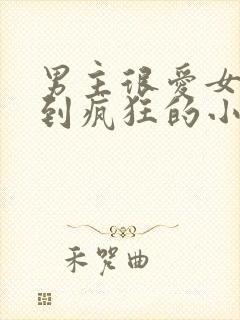 男主很爱女主爱到疯狂的小说现言封面