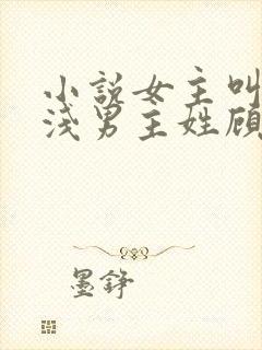 小说女主叫苏浅浅男主姓顾