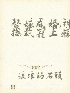 替嫁成婚,神秘总裁宠上瘾