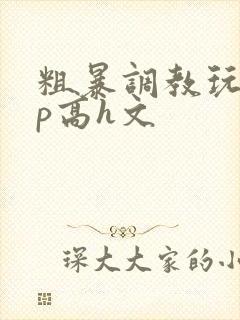 粗暴调教玩弄np高h文