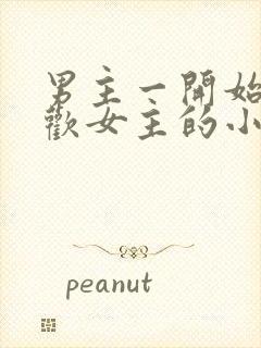 男主一开始不喜欢女主的小说