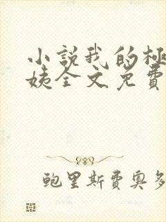 小说我的极品小姨全文免费阅读封面