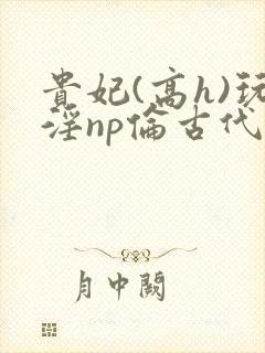 贵妃(高h)玩淫np伦古代