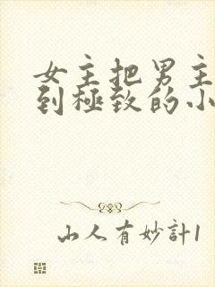 女主把男主囚禁到极致的小说封面