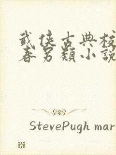 武侠古典校园青春另类小说