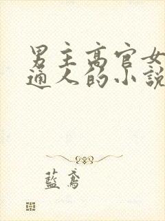 男主高官女主普通人的小说