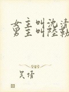 女主叫沈清辞,男主叫陆勒深封面