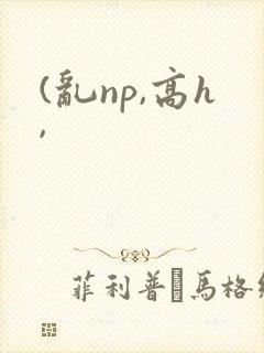 (乱np,高h,