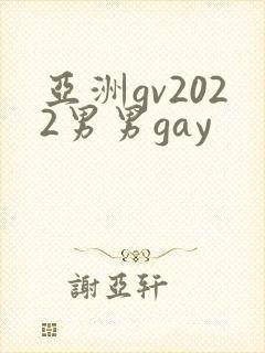 亚洲gv2022男男gay