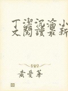 丁洁沉沦小说全文阅读最新章节更新