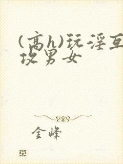 (高h)玩淫互攻男女