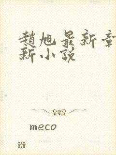 赵旭最新章节更新小说