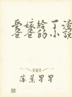 受嫁给了渣攻的爸爸的小说