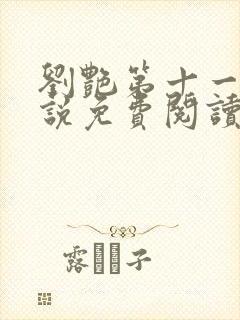 刘艳第十一部小说免费阅读