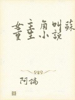 女主角叫苏洛的重生小说封面