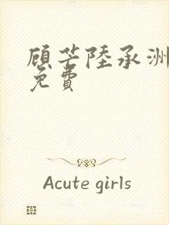 顾芒陆承洲全文免费