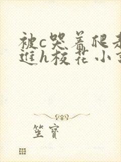 被c哭着爬走挺进h校花小说