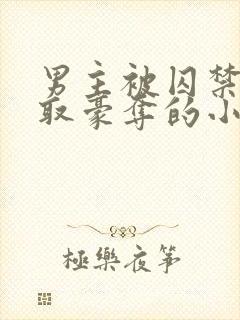 男主被囚禁被强取豪夺的小说