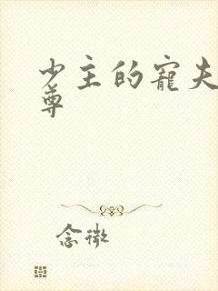 少主的宠夫(女尊