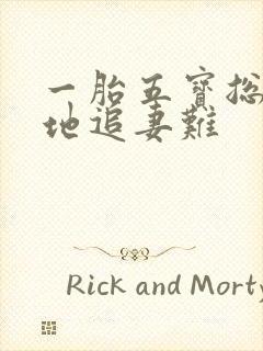 一胎五宝总裁爹地追妻难