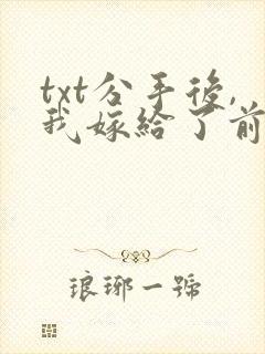 txt分手后,我嫁给了前男友的小叔封面