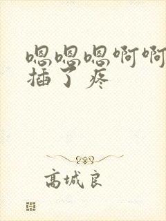 嗯嗯嗯啊啊啊别插了疼