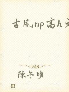 古风np高h文