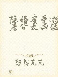 隐婚蜜爱:总裁老公太凶猛