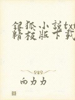 银狐小说txt精校版下载