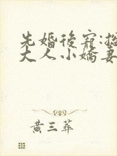 先婚后宠:总裁大人小娇妻