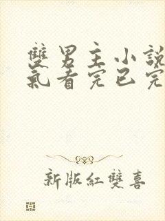 双男主小说一口气看完已完结封面