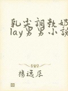 乳尖调教奶头play男男小说封面