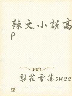 辣文小说高hnp