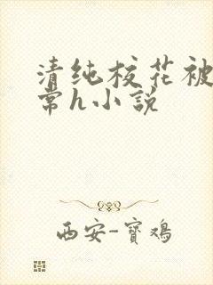 清纯校花被脔日常h小说