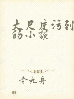 大尺度污到高潮的小说