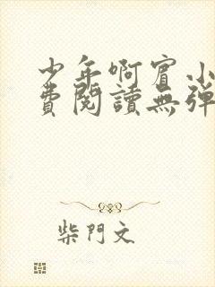 少年啊宾小说免费阅读无弹窗最新章节