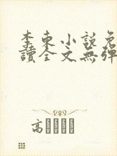 李东小说免费阅读全文无弹窗封面