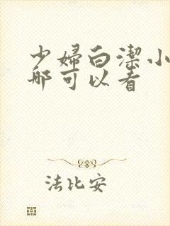 少妇白洁小说在哪可以看