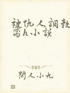 被仇人调教成禁脔h小说