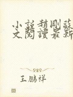 小说赵刚苏柔全文阅读最新章节封面