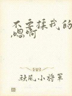 不要揉我的奶子,嗯啊封面