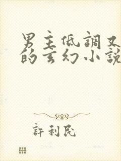 男主低调又谨慎的玄幻小说