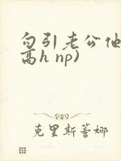 勾引老公他哥(高h np)