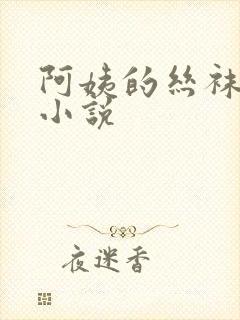 阿姨的丝袜诱惑小说封面